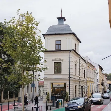 Relaxation Oasis In Center Apartment Cluj-Napoca